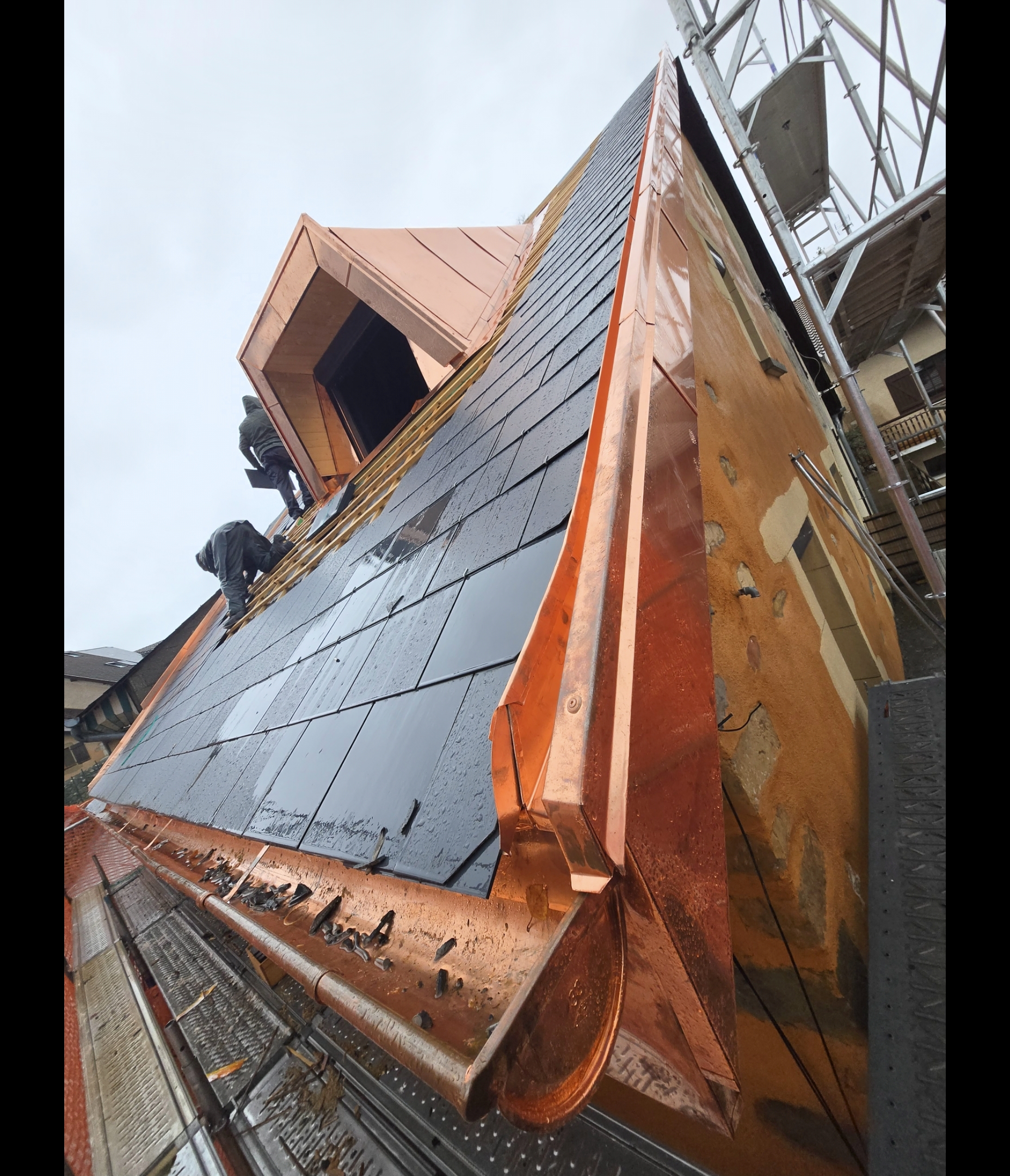 Screenshot_20260122_101709_Gallery